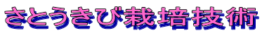 ���Ƃ����э͔|�Z�p
