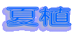 �ĐA